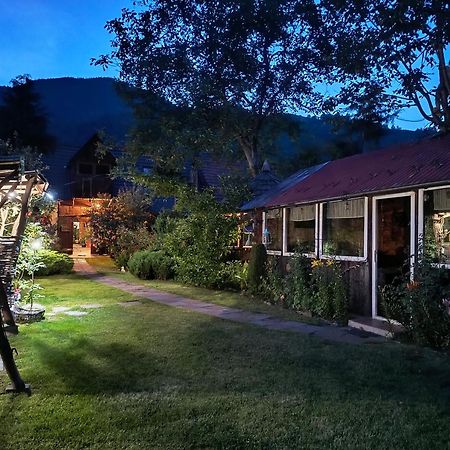 Casa De Vacanta Vidrighin Rau Sadului 外观 照片