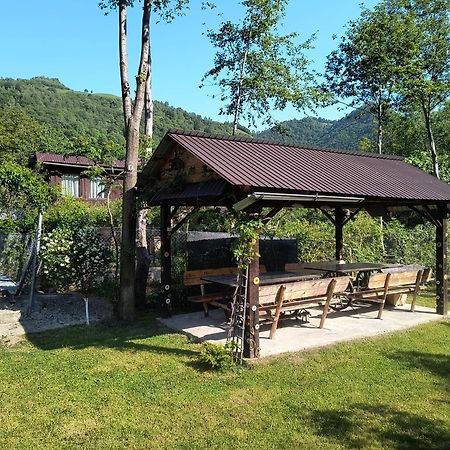 Casa De Vacanta Vidrighin Rau Sadului 外观 照片