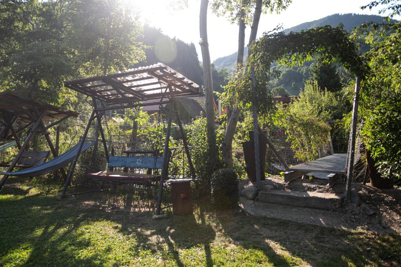 Casa De Vacanta Vidrighin Rau Sadului 外观 照片