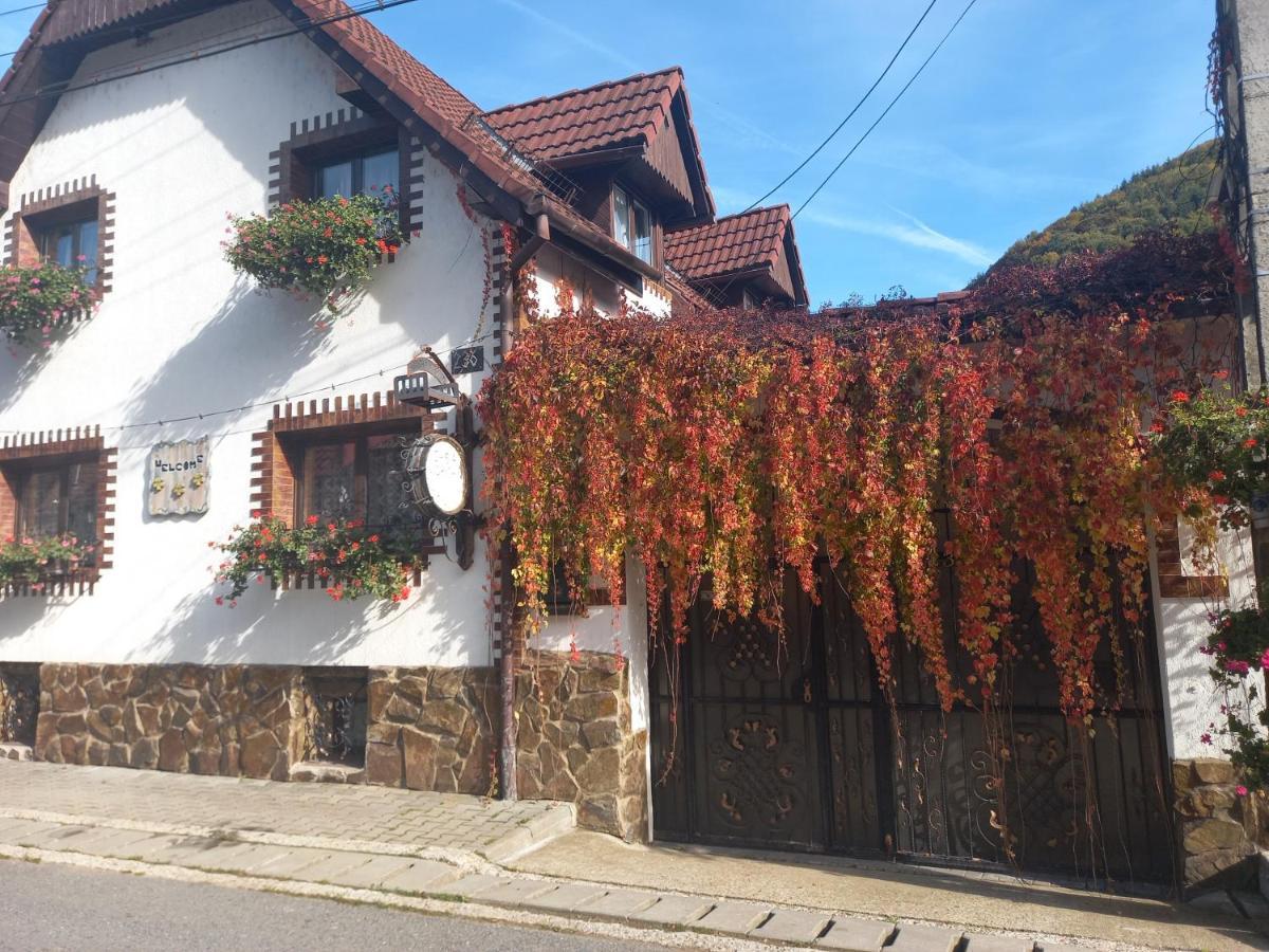 Casa De Vacanta Vidrighin Rau Sadului 外观 照片