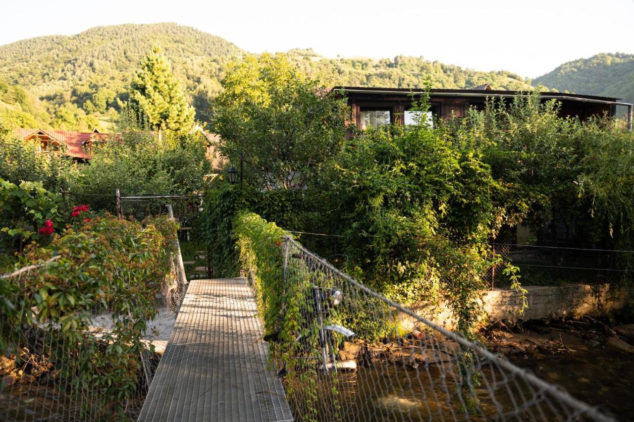 Casa De Vacanta Vidrighin Rau Sadului 外观 照片