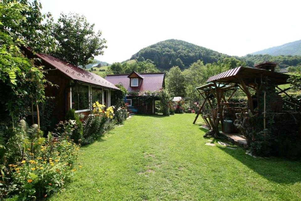 Casa De Vacanta Vidrighin Rau Sadului 外观 照片