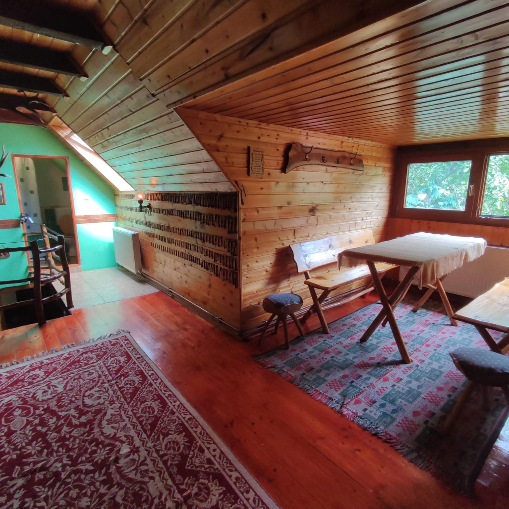 Casa De Vacanta Vidrighin Rau Sadului 客房 照片