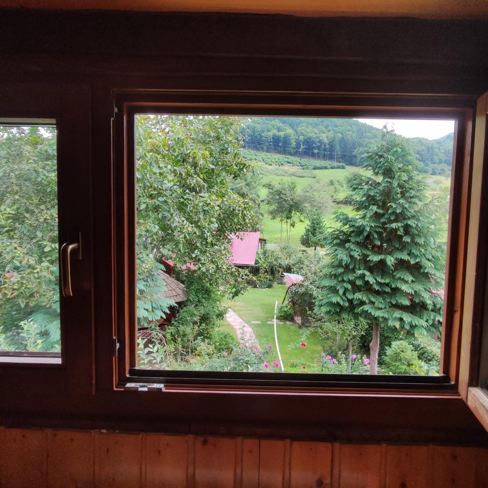 Casa De Vacanta Vidrighin Rau Sadului 客房 照片