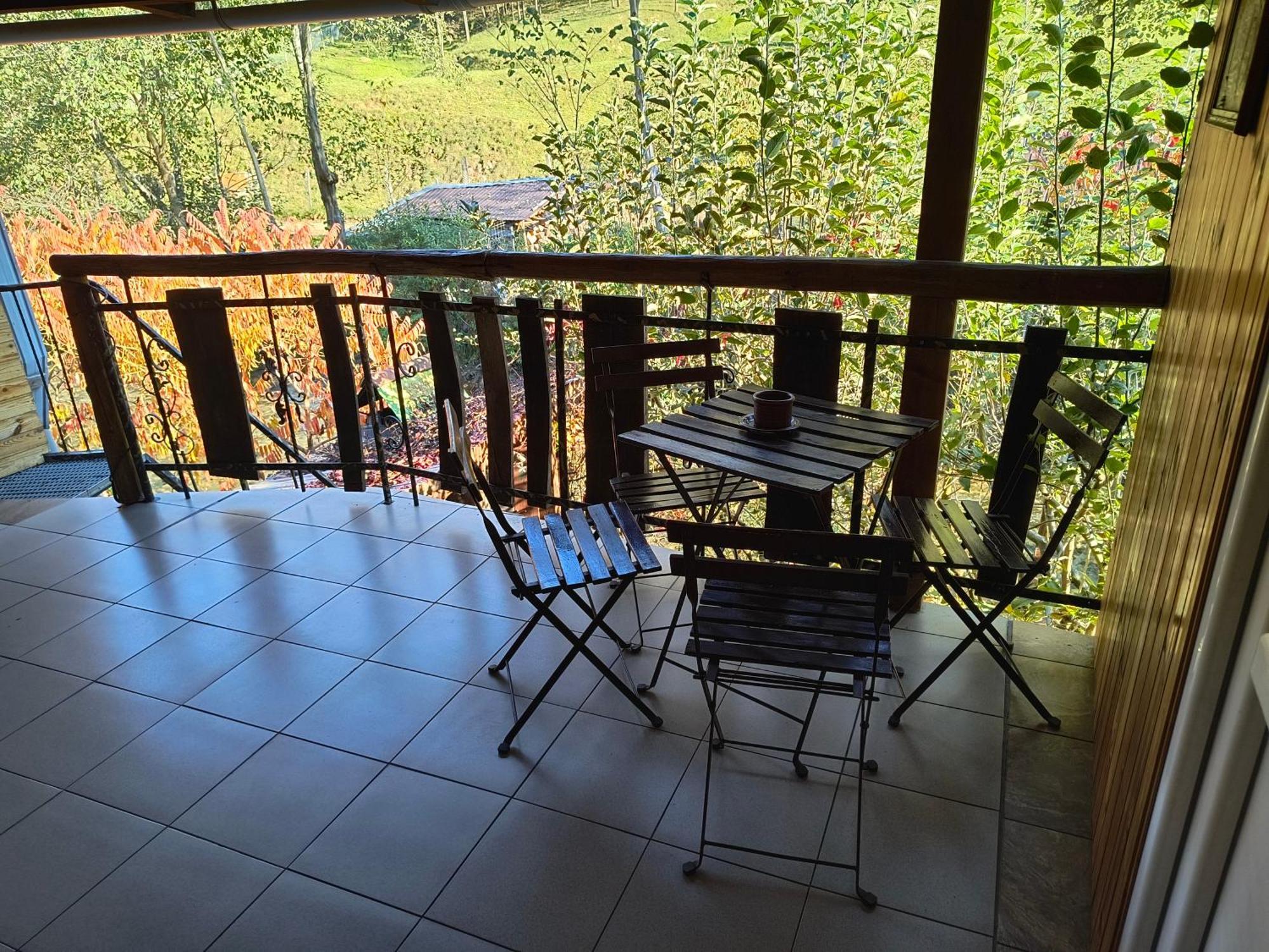 Casa De Vacanta Vidrighin Rau Sadului 客房 照片