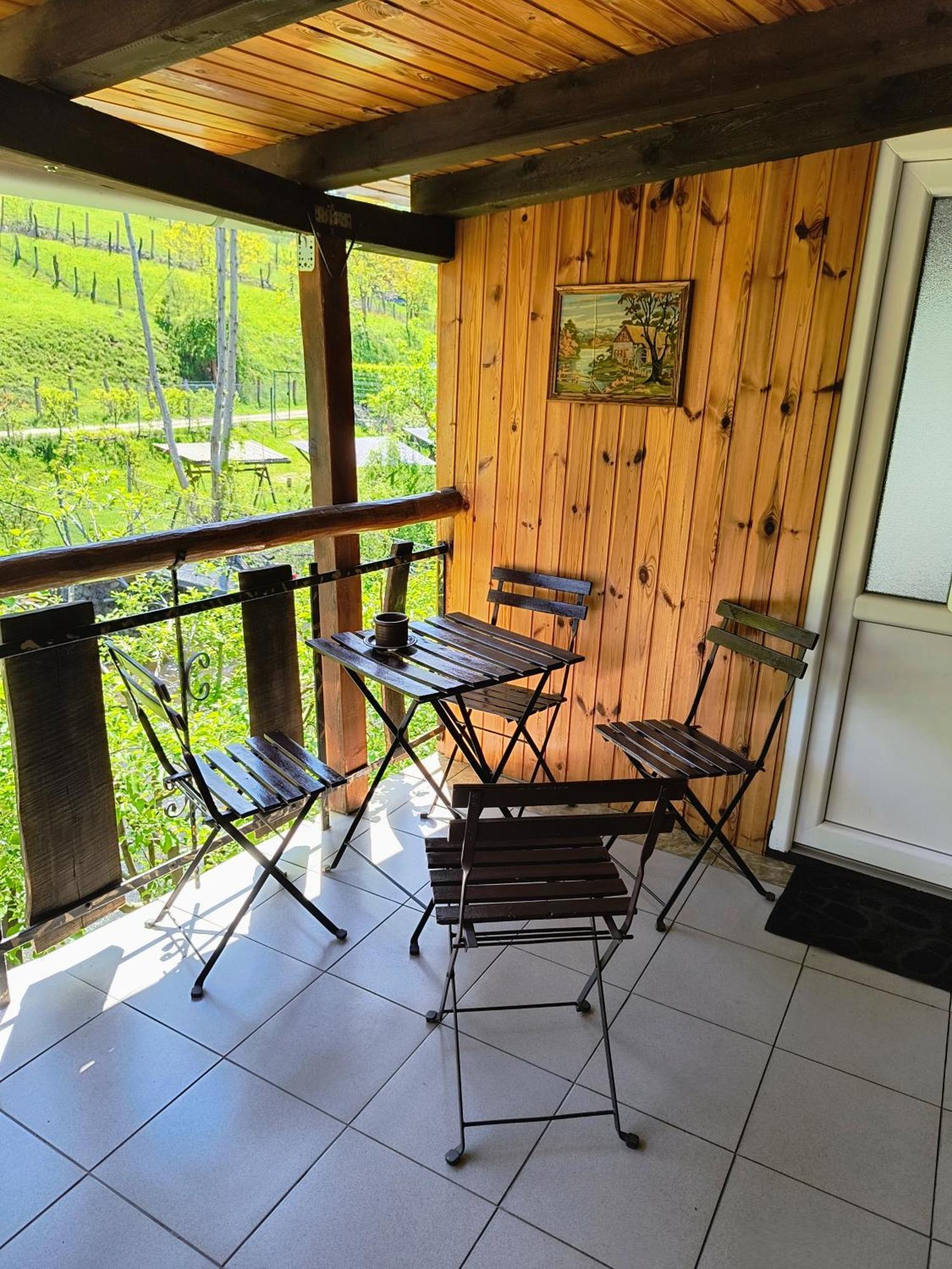 Casa De Vacanta Vidrighin Rau Sadului 客房 照片