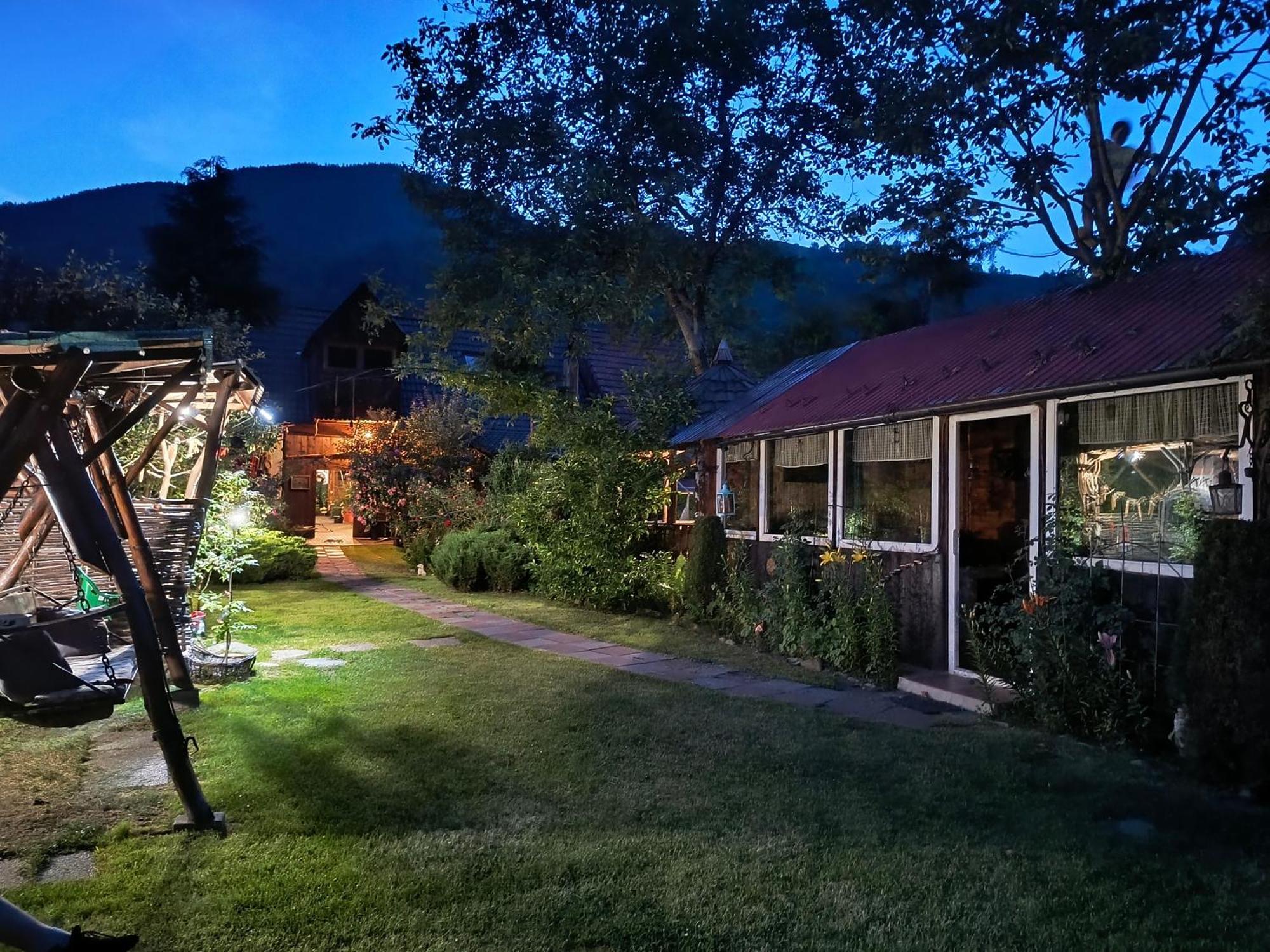 Casa De Vacanta Vidrighin Rau Sadului 外观 照片