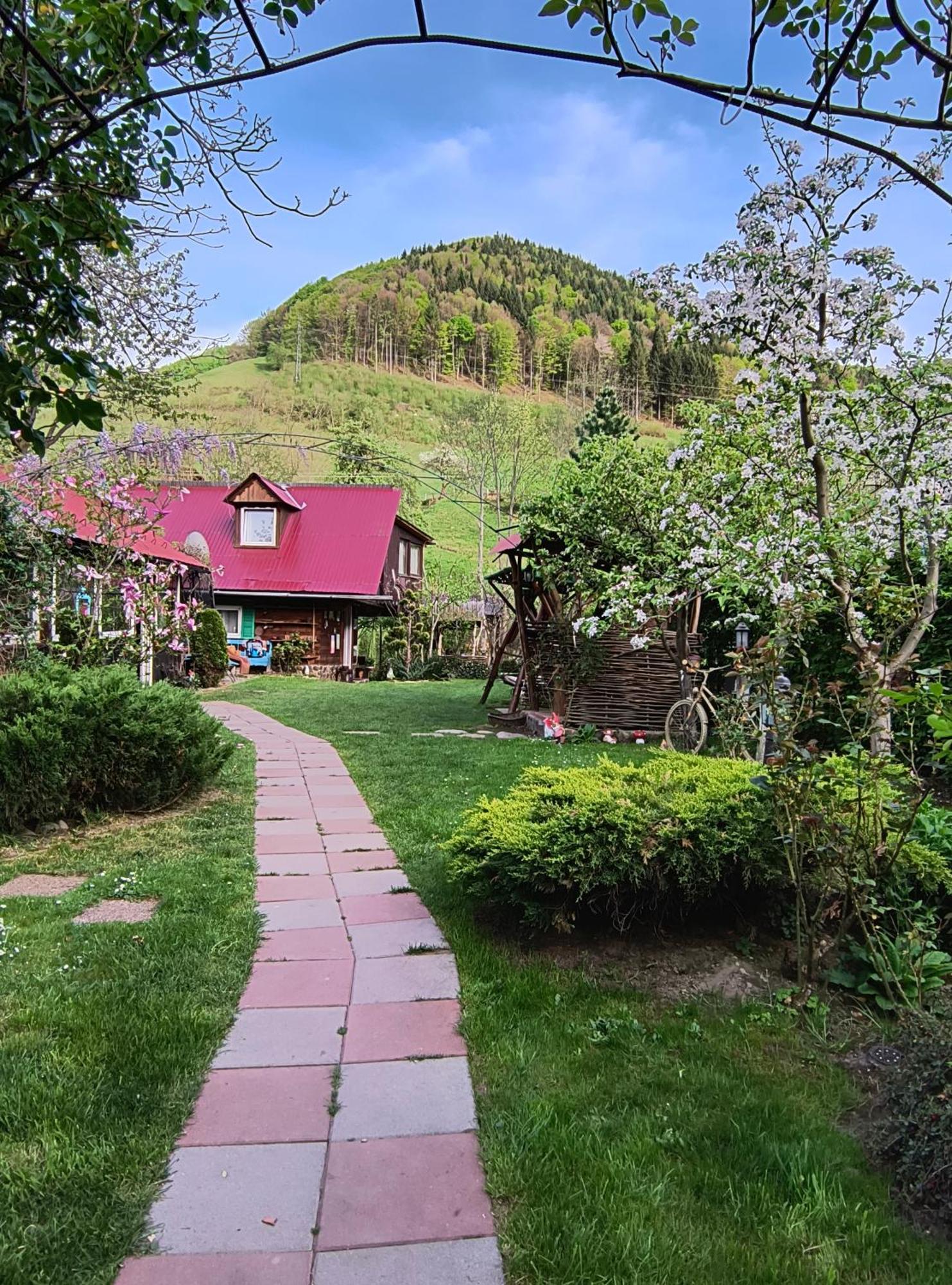 Casa De Vacanta Vidrighin Rau Sadului 外观 照片