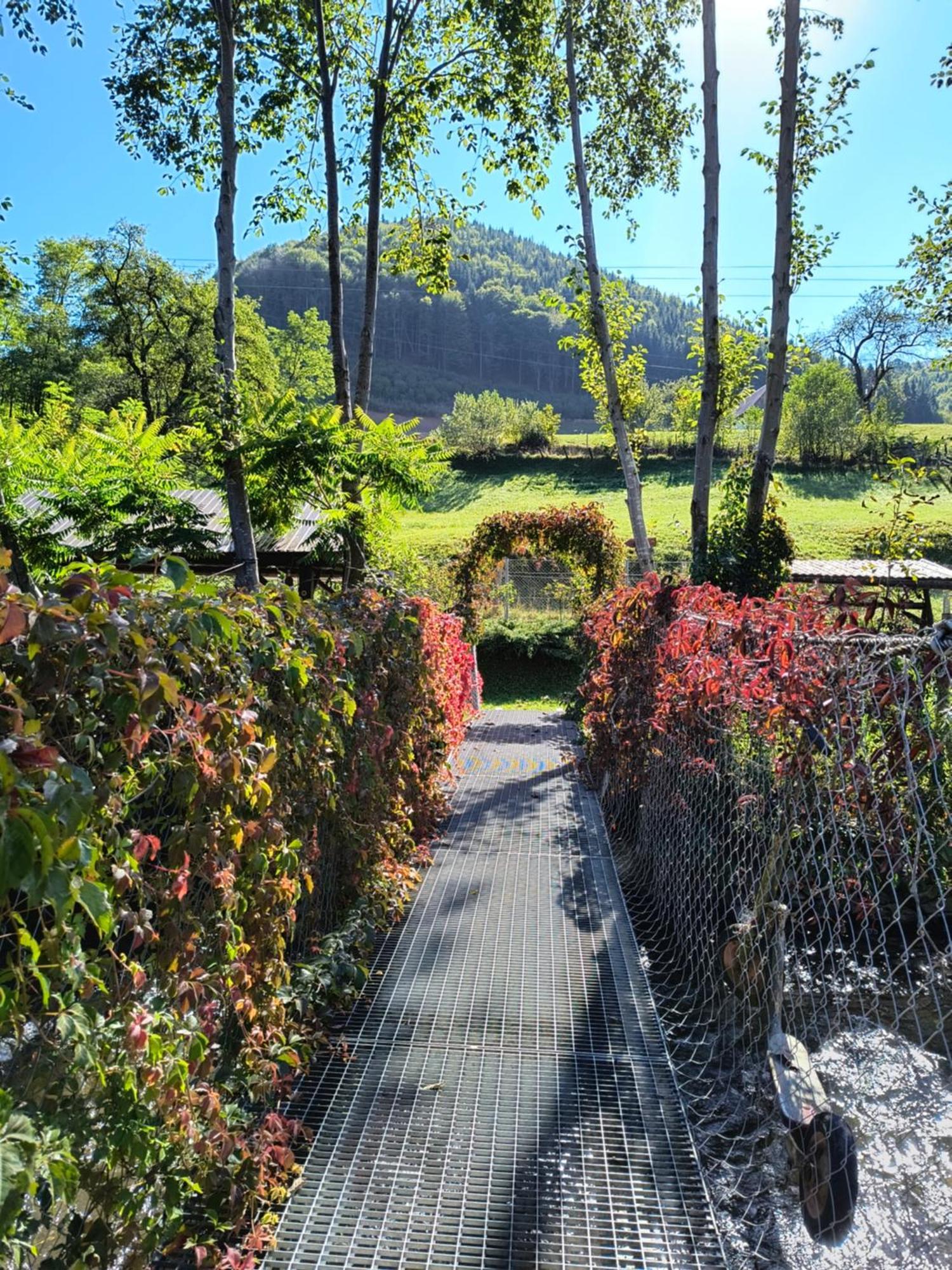 Casa De Vacanta Vidrighin Rau Sadului 外观 照片
