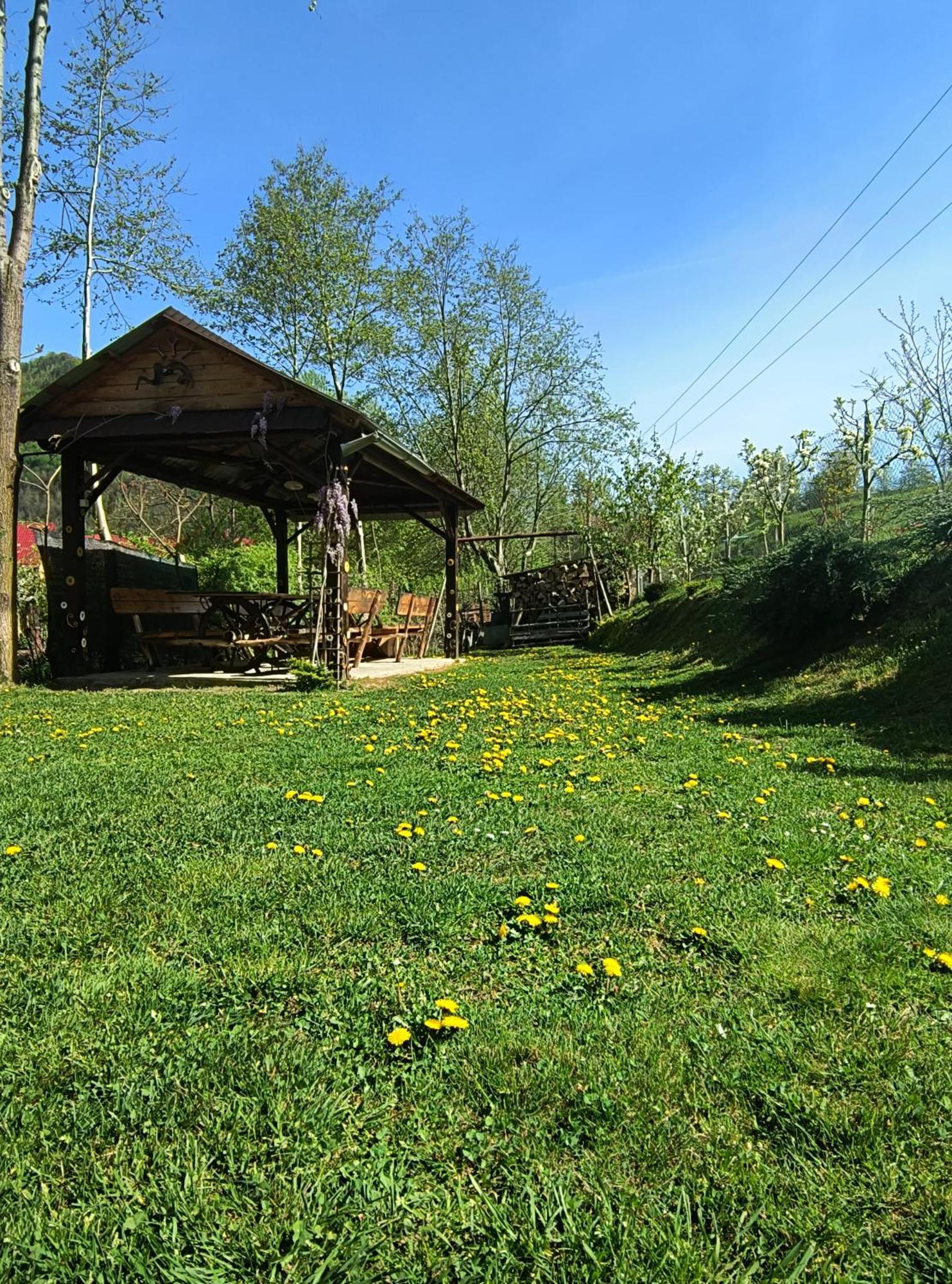 Casa De Vacanta Vidrighin Rau Sadului 外观 照片