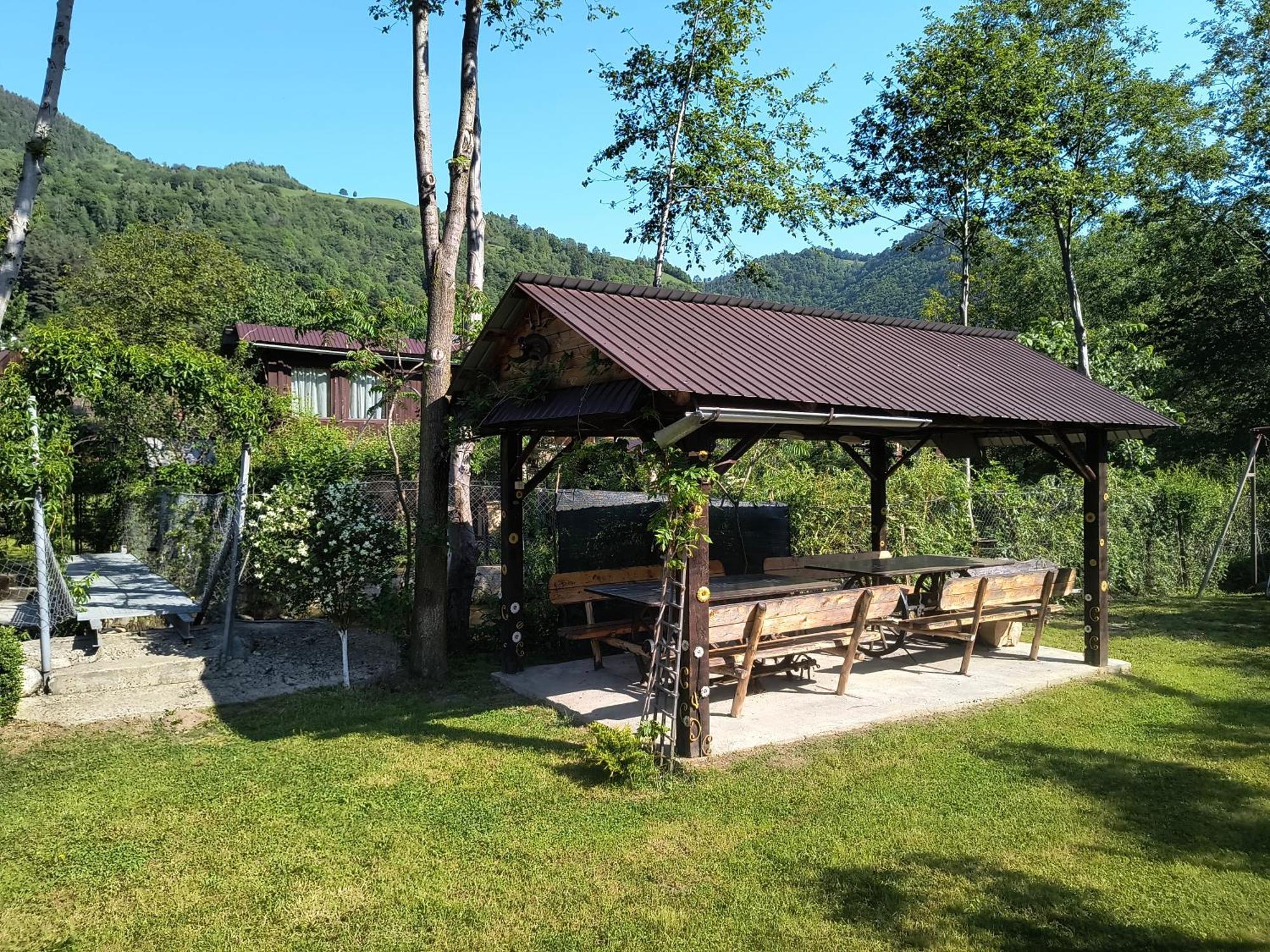 Casa De Vacanta Vidrighin Rau Sadului 外观 照片